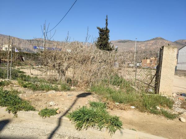 Terreno en Calle Perin, Orihuela Ciudad, Orihuela thumbnail 3