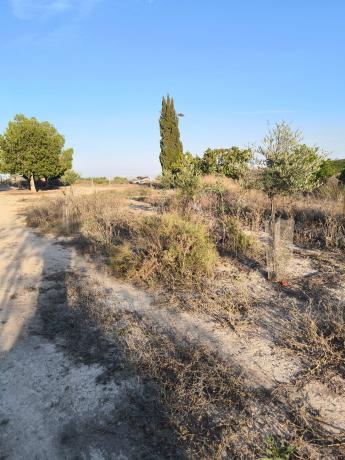 Terreno en Cv-951 s/n, Centro, San Miguel de Salinas thumbnail 3
