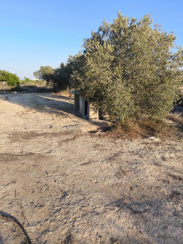 Terreno en venta en San Miguel de Salinas, Alicante photo 5