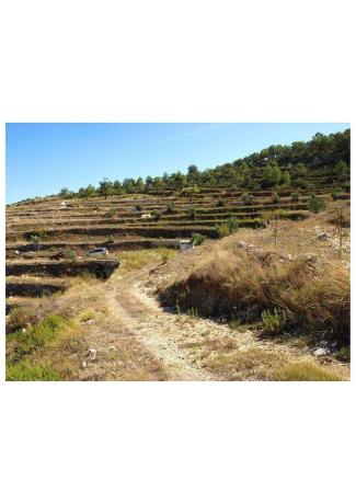 Terreno en Carretera cv, 712, Vall de Alcala thumbnail 2