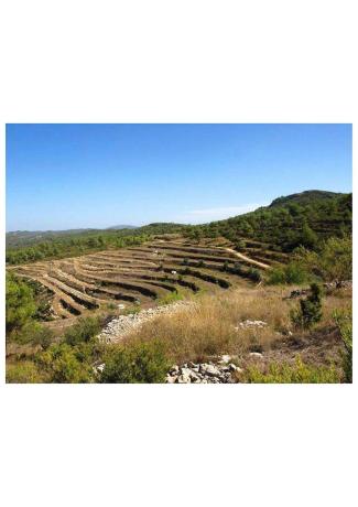 Terreno en Carretera cv, 712, Vall de Alcala thumbnail 3