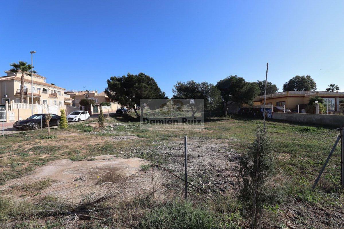 Działka na sprzedaż w Guardamar del Segura, Alicante photo 2