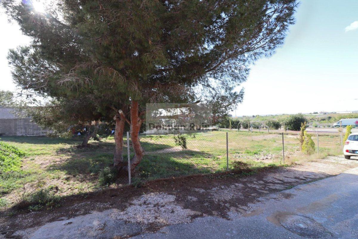 Działka na sprzedaż w Guardamar del Segura, Alicante photo 4