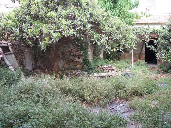 Terreno en Catral photo