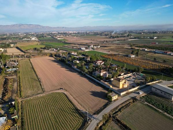 Terreno en Catral photo 1