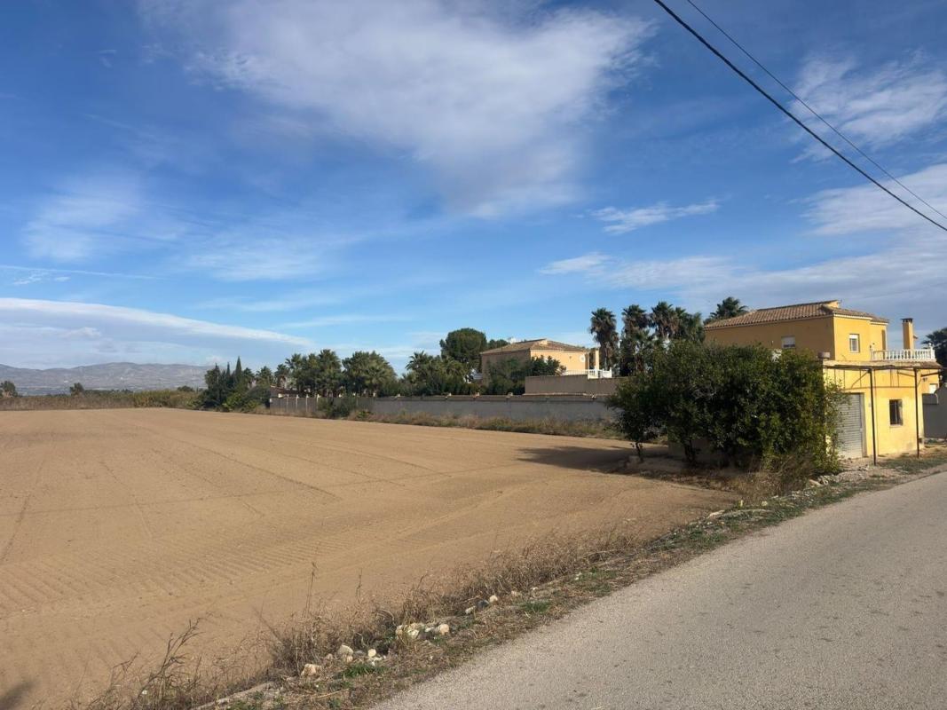 Land for sale in Catral, Alicante photo 2