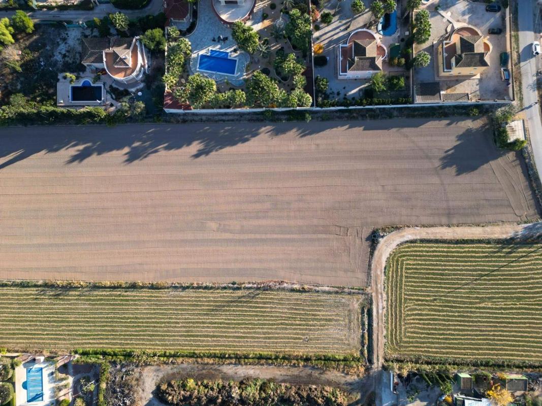Land for sale in Catral, Alicante photo 3