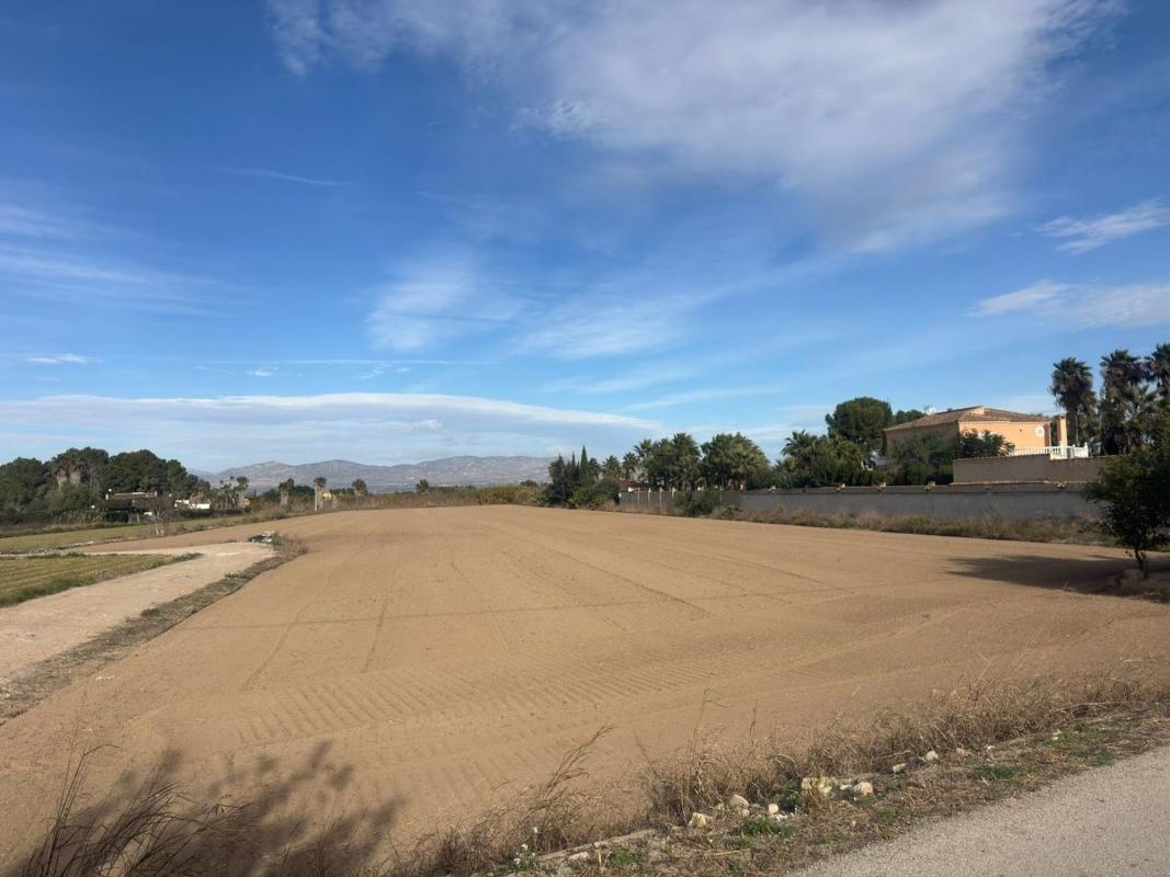 Land for sale in Catral, Alicante photo 4