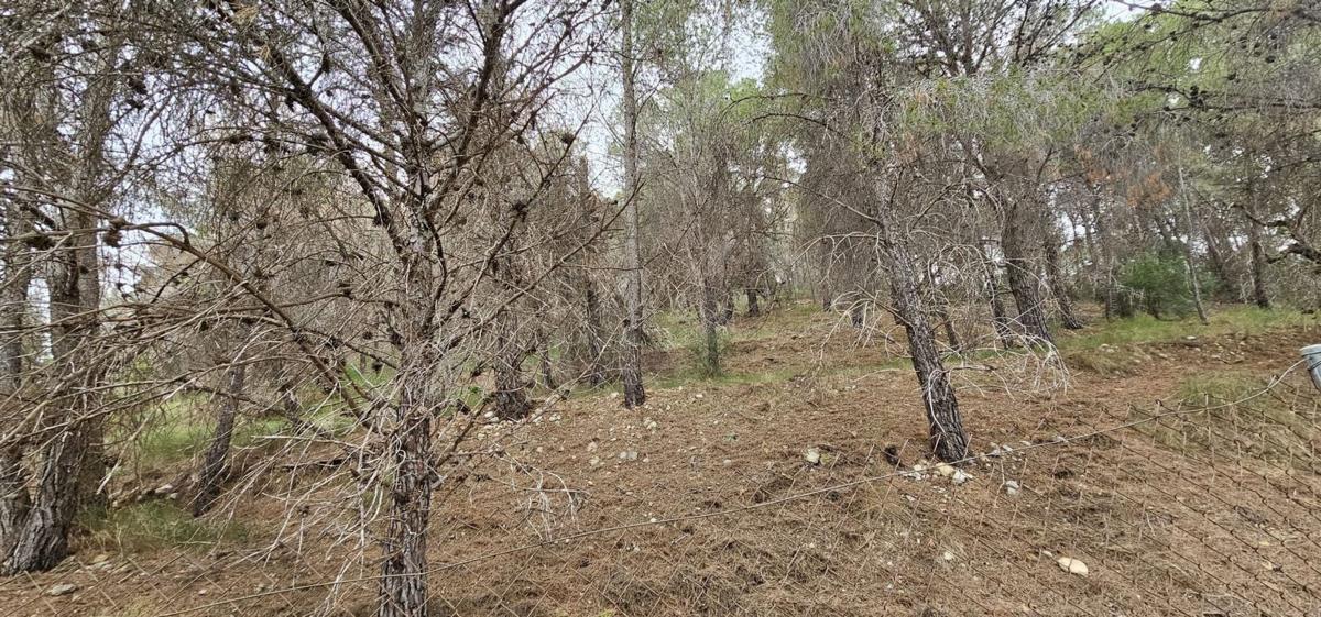 Terreno en venta en La Nucia, Alicante photo 5