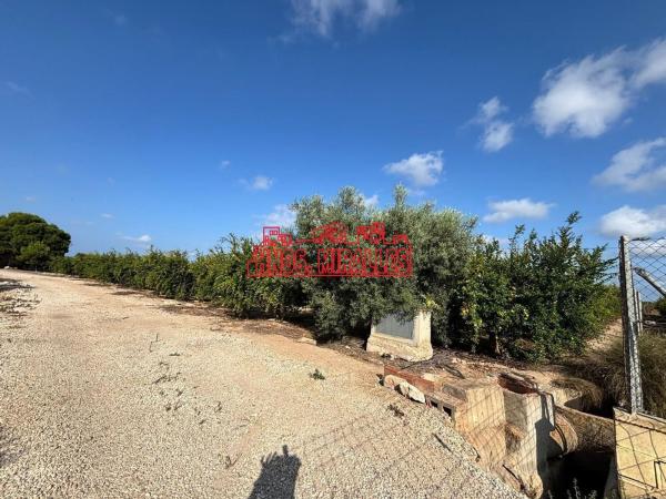 Terreno en Las Bayas-Asprillas, Elche / Elx photo 1