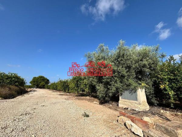 Terreno en Las Bayas-Asprillas, Elche / Elx thumbnail 2