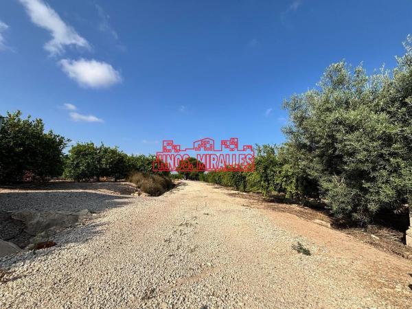 Terreno en Las Bayas-Asprillas, Elche / Elx thumbnail 3