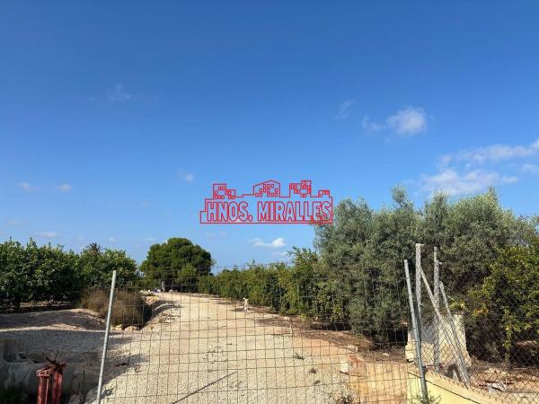 Terreno en Las Bayas-Asprillas, Elche / Elx photo 4