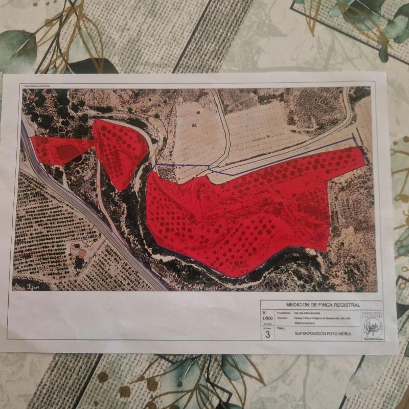 Terreno en venta en Albatera, Alicante photo 1