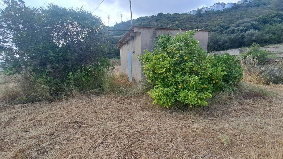 Terreno en venta en Pego, Alicante photo 4