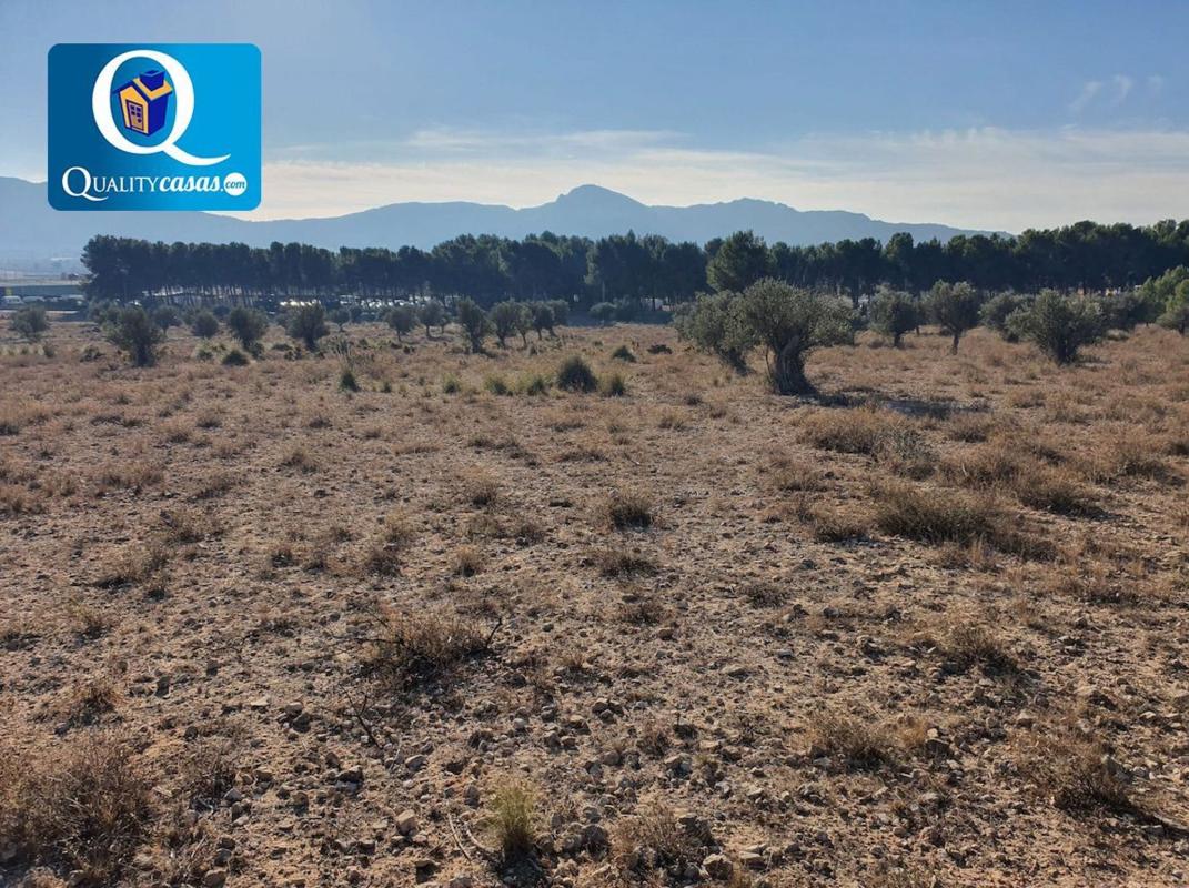 Terreno en venta en Elda, Alicante photo 1