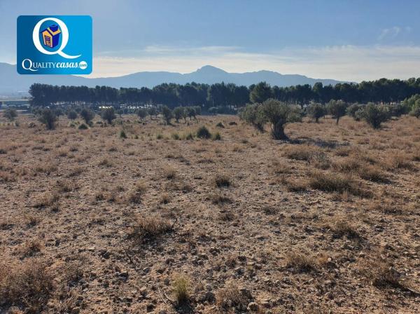 Terreno en Campo Alto, Elda photo 1