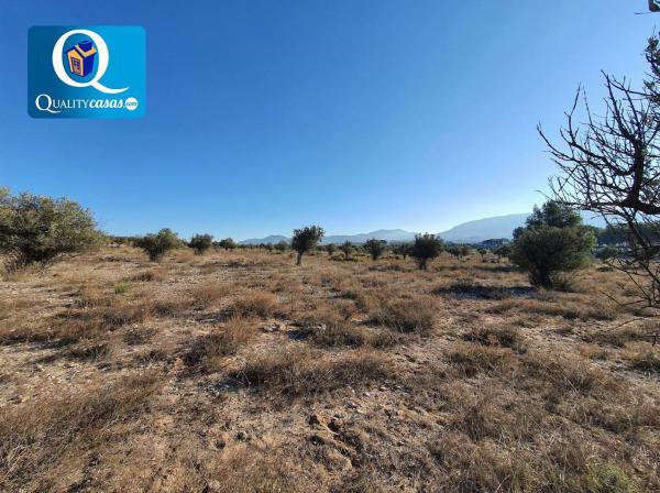 Terreno en Campo Alto, Elda thumbnail 2