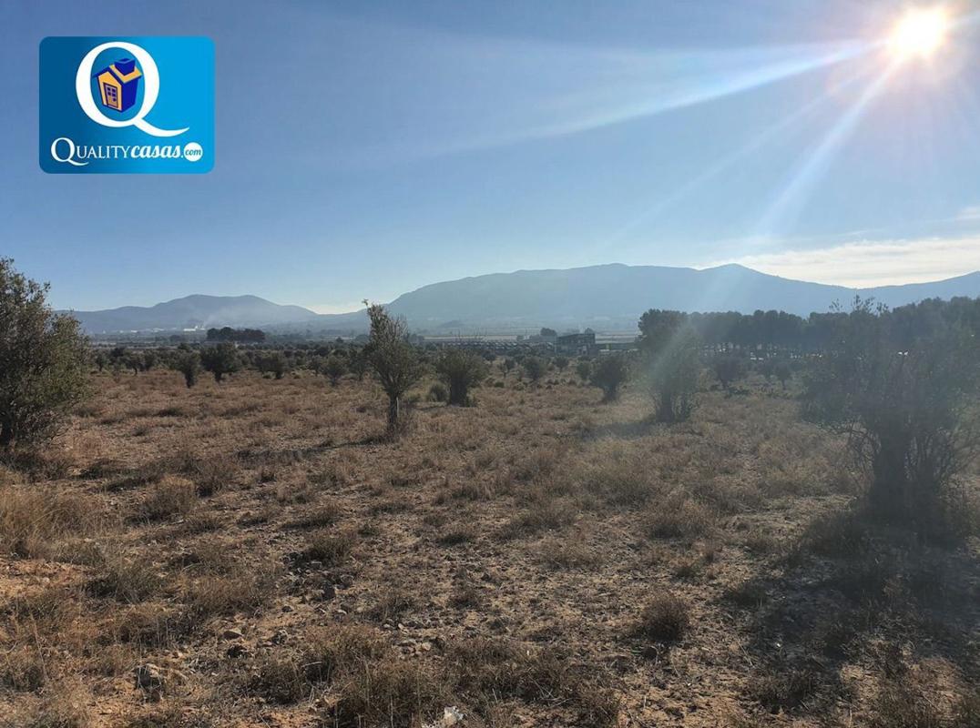 Terreno en venta en Elda, Alicante photo 4