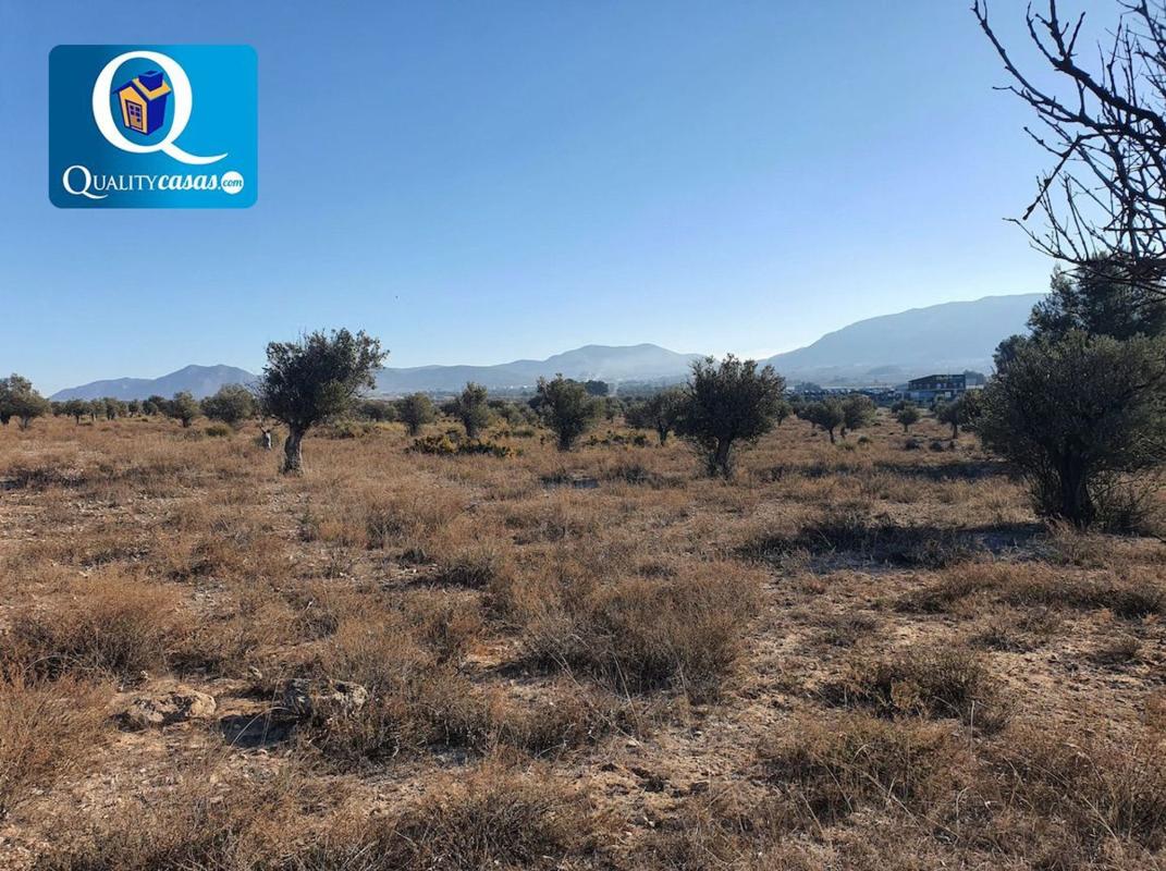 Terreno en venta en Elda, Alicante photo 5