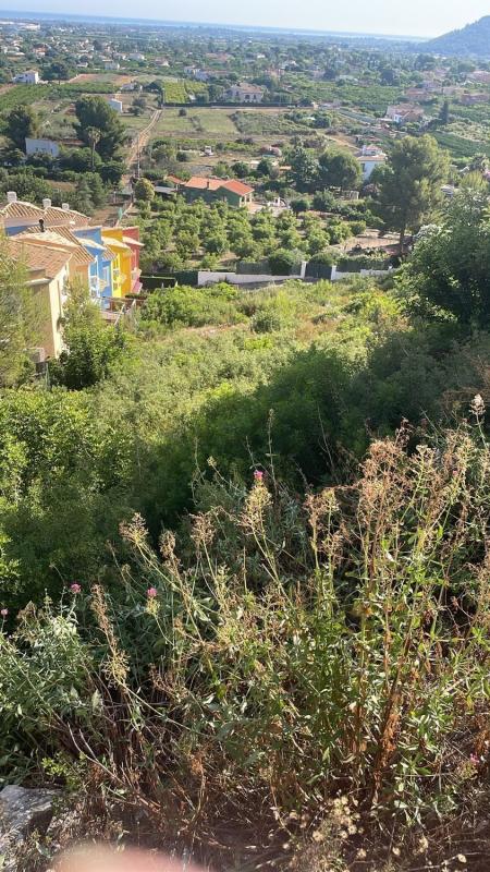 Terreno en venta en Pedreguer, Alicante photo 2