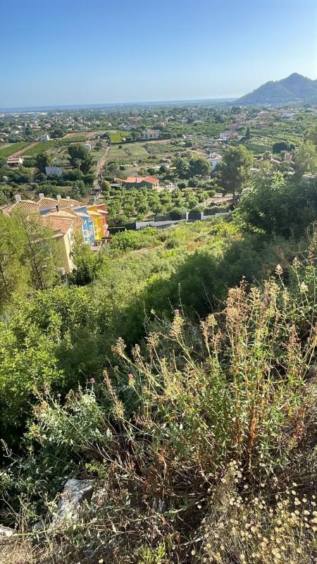 Terreno en venta en Pedreguer, Alicante photo 5