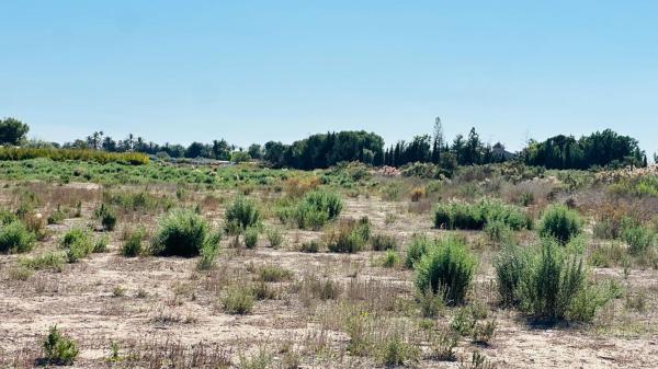 Terreno en Maitino-Perleta, Elche / Elx thumbnail 2