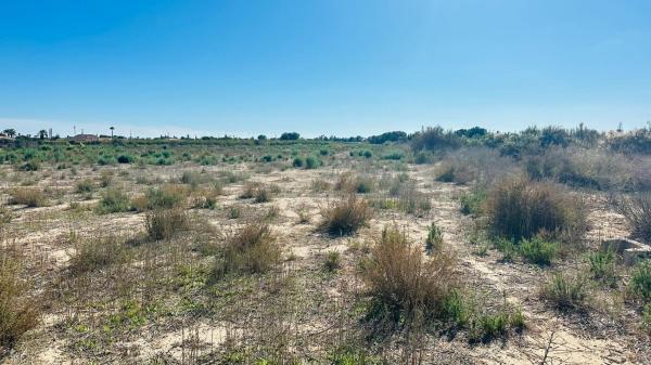 Terreno en Maitino-Perleta, Elche / Elx thumbnail 3