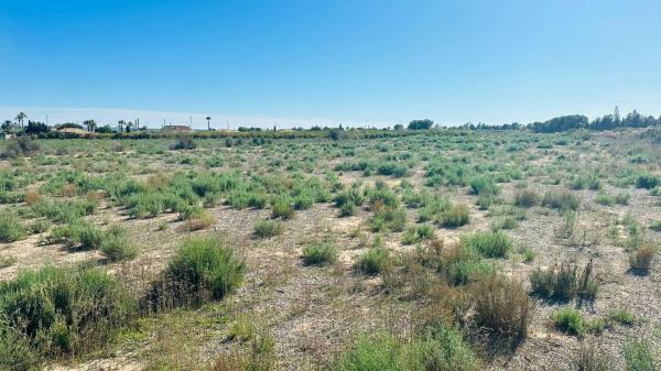 Terreno en Maitino-Perleta, Elche / Elx photo 4