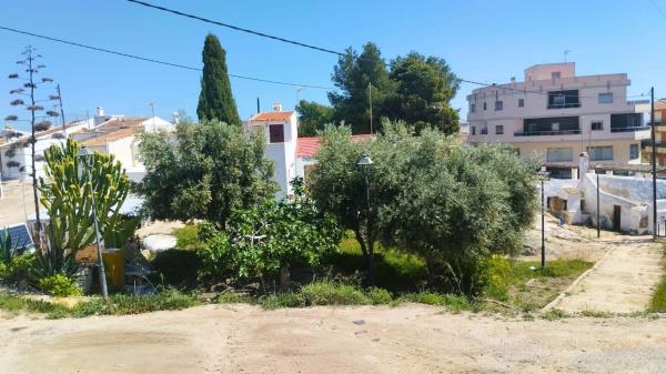 Terreno en Calle Miguel Pérez, Centro, San Miguel de Salinas photo 4
