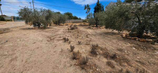 Terreno en Pinar de Campoverde, Pilar de la Horadada photo 1