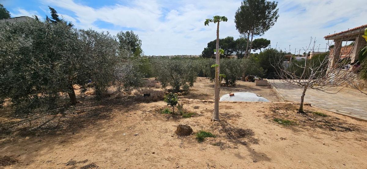 Land for sale in Pilar de la Horadada, Alicante photo 3