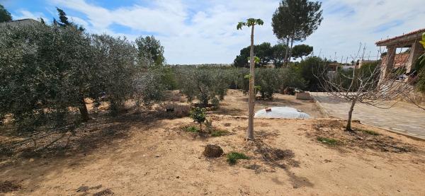Terreno en Pinar de Campoverde, Pilar de la Horadada thumbnail 3