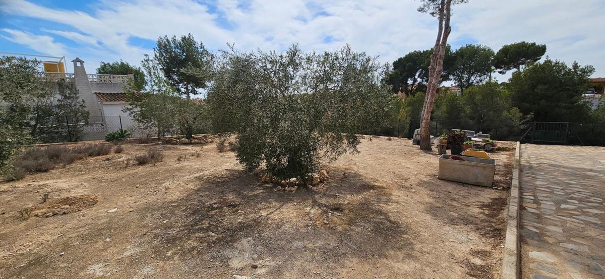 Land for sale in Pilar de la Horadada, Alicante photo 4