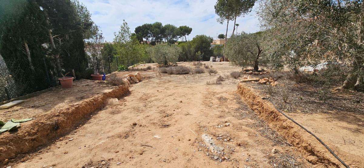 Land for sale in Pilar de la Horadada, Alicante photo 5