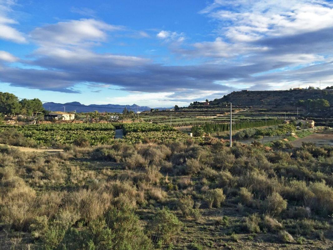 Terreno en venta en Aspe, Alicante photo 3