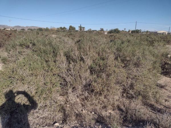 Terreno en Algoda-Matola-Llano de San José, Elche / Elx thumbnail 3