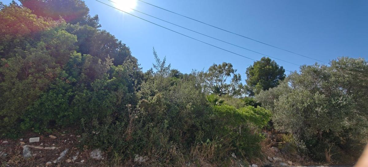 Land for sale in Denia, Alicante photo 1