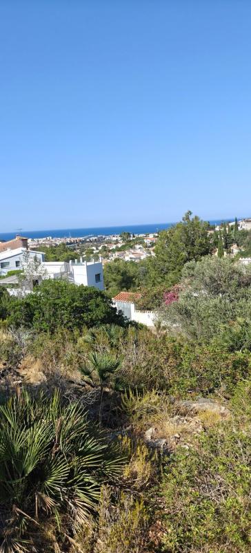 Land for sale in Denia, Alicante photo 4