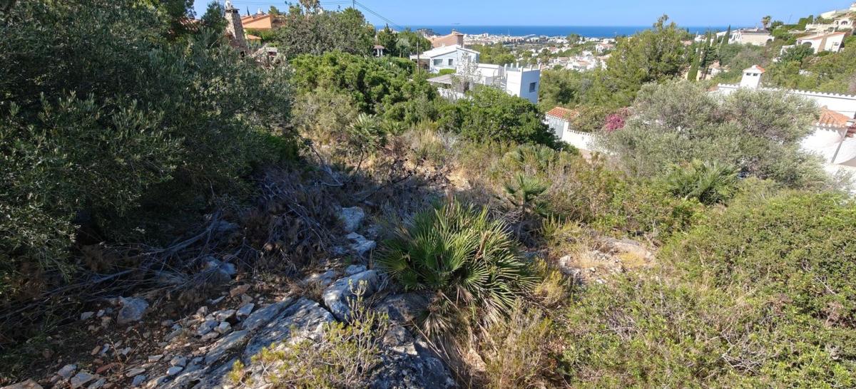 Land for sale in Denia, Alicante photo 5