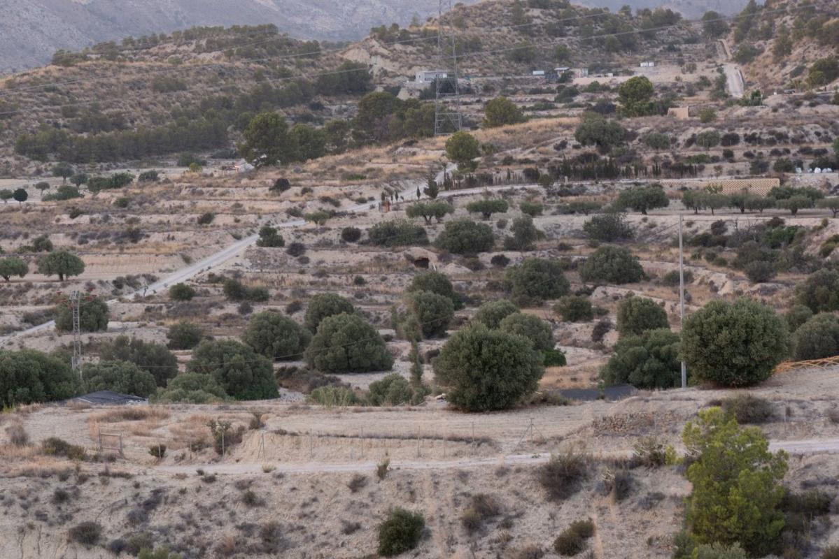 Terreno en venta en Busot, Alicante photo 1