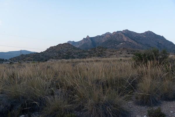 Terreno en Cv-774 s/n, Busot photo 4