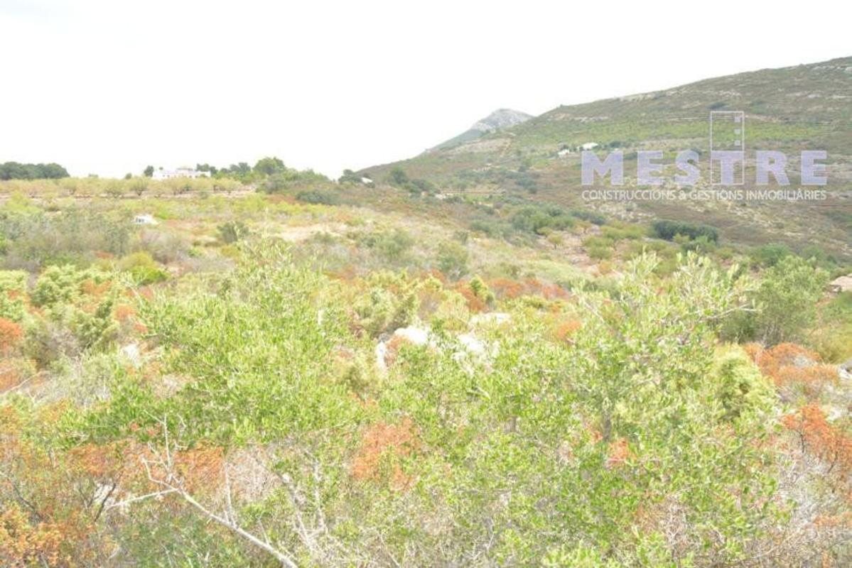 Terreno en venta en Llíber, Alicante photo 4