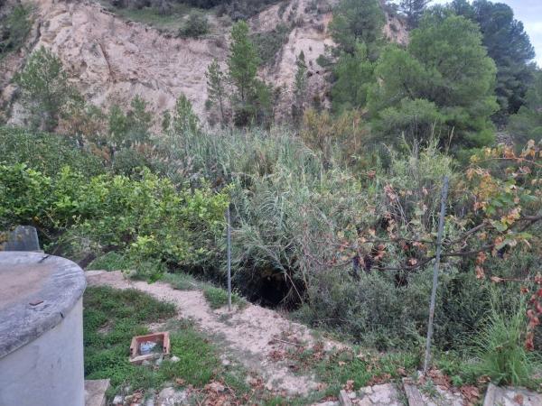 Terreno en Orxeta photo 4