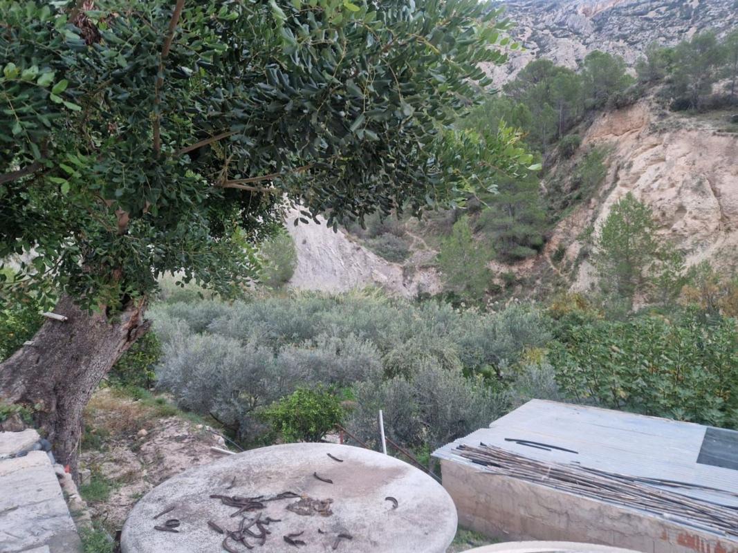 Działka na sprzedaż w Orxeta, Alicante photo 5