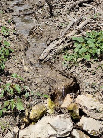 Terreno en Calle San Cugat, 16, Altea la Vella, Altea thumbnail 2