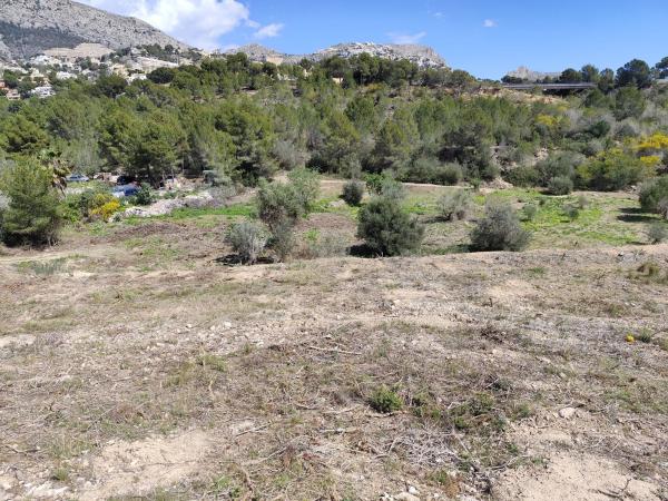Terreno en Calle San Cugat, 16, Altea la Vella, Altea photo 4