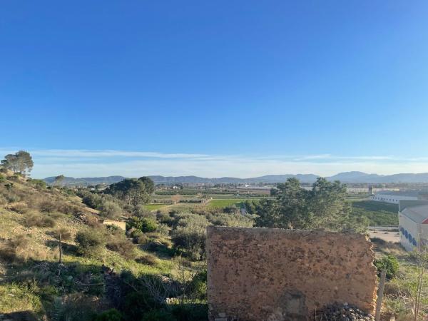 Terreno en Polígono 33 Parcela 231, La Aparecida, km 682, Montepinar-La Aparecida-Raiguero, Orihuela photo 1
