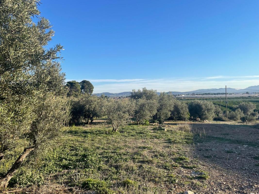 Land for sale in Orihuela, Alicante photo 3