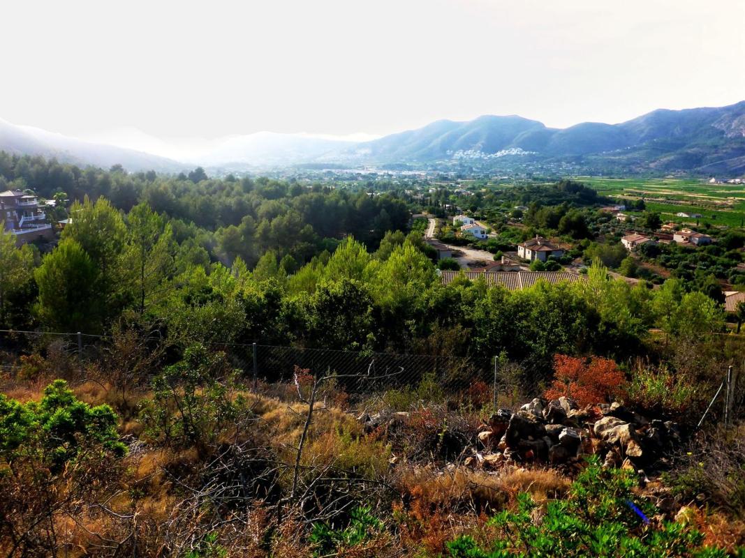 Land for sale in Llíber, Alicante photo 5